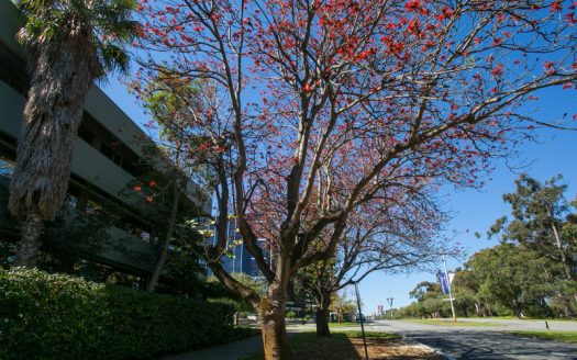 WEST PERTH FULLY SERVICED OFFICE