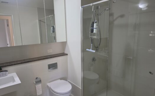 1206/237 Adelaide Terrace, Perth