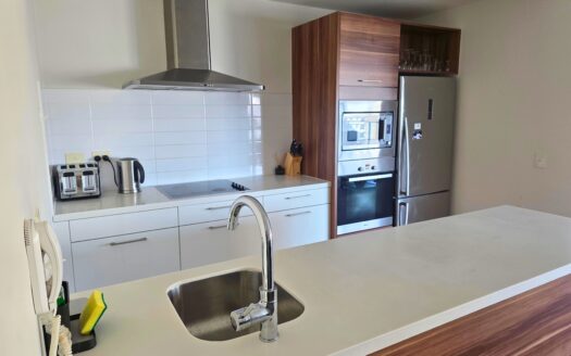 1206/237 Adelaide Terrace, Perth